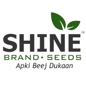 SHINE_BRAND_SEEDS-300x300